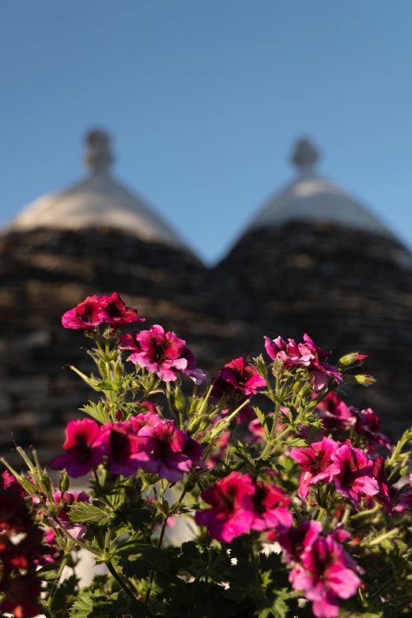Вілла Trulli Ulivi Путіньяно Екстер'єр фото